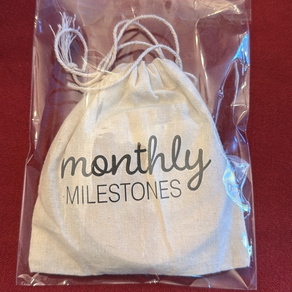 New Gerber diapers (great burp cloths) & 12 months of monthly milestone signs - Picture 4 of 6